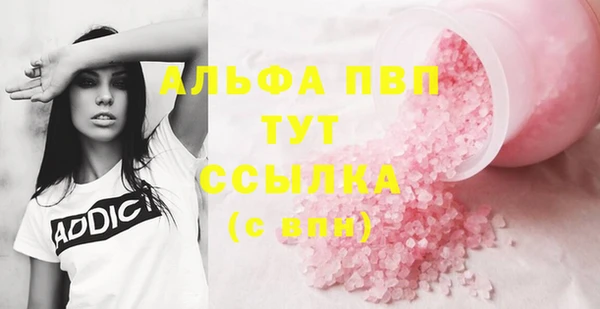 молекула духа Переславль-Залесский