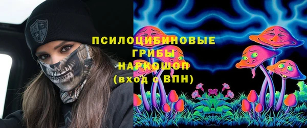 ГАЛЛЮЦИНОГЕННЫЕ ГРИБЫ Пересвет