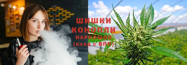 ГАЛЛЮЦИНОГЕННЫЕ ГРИБЫ Пересвет