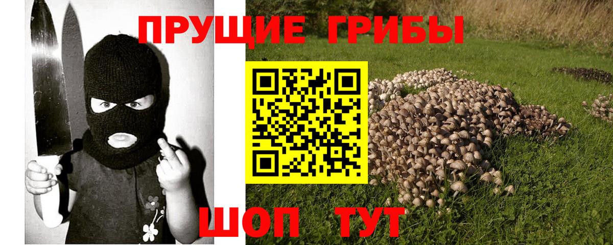 Галлюциногенные грибы Cubensis Туапсе